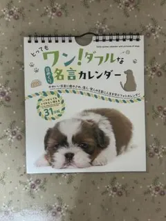 Item thumbnail for item 8443afd2-8ca4-4617-a381-7d13aa5bc487