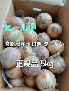 セール中 産地直送 淡路島産玉ねぎ ターザン 正規品 5kgのサムネイル