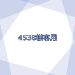 4538様専用ページ