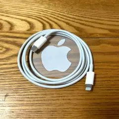 iPhone 정품 충전기 케이블