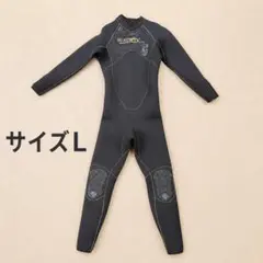 MORGEN SKY スーツ Lサイズ Slinx上下 | Mercari