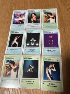 【お値下げ中】SKRYU 選べるハダカード　5枚
