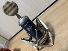 2025年最新】bluebird sl blueの人気アイテム - メルカリ