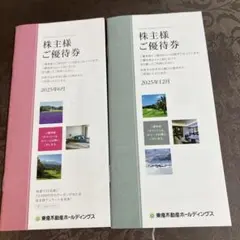 東急不動産ホールディングス　株主優待宿泊券　有効期限2026年1/31、8/31