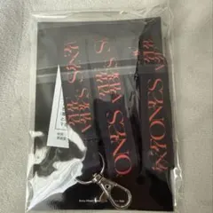 Item thumbnail for item b65c1230-44cc-4ad9-b919-2b81c75b2b5e