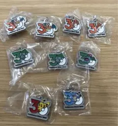ポケモン 30周年 メタルチャームマスコット