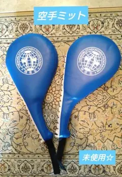 ボクシング ミット