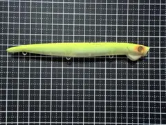 Item thumbnail for item 6744d1a7-4d3b-44f3-b5c6-c3f54560df3d