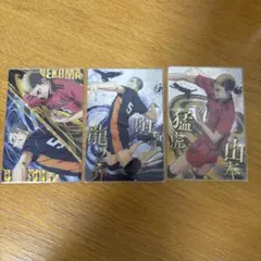 ハイキュー　ウエハース　ゴミ捨て場の決戦　山本猛虎　田中龍之介