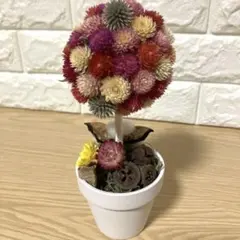 千日紅のトピアリー インテリア　置くフラワーリース ドライフラワーアレンジのサムネイル