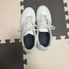 モナルシーダネオ3