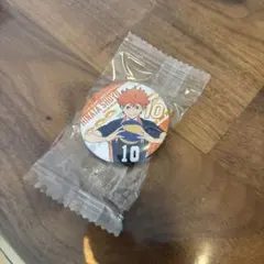 日向翔陽 ピンバッジ