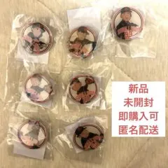 ヤクルト ピンバッジくじ 2023 7個セット