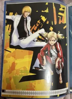平子真子 猿柿ひよ里 ポスター - メルカリ