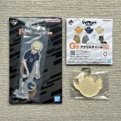 一番くじ　ハイキュー‼︎　最強の挑戦者　F＆G賞 月島蛍