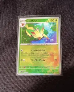 2025年最新】リーフィアマスターボールミラーの人気アイテム