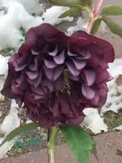 こっちゃん様 リクエスト 2点 まとめ商品