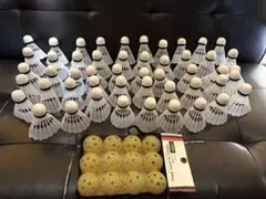 Item thumbnail for item 0dd4a80b-80cc-43d3-b45c-bdc2a2c14920