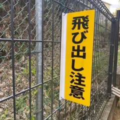 Item thumbnail for item c399c4b5-8bfe-444f-a48b-df793ed39953