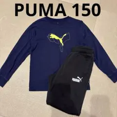 キッズ　子供服　PUMA 150 ロンT &スウェット