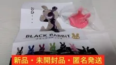 ブラックラビット9 BLACK RABBiT シークレット①フロッキー ピンク