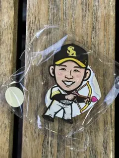 Item thumbnail for item 430b3e24-b012-4ee5-bbb2-b09154ae000b