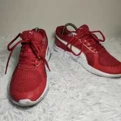 Item thumbnail for item c65a9b20-dc50-41f7-a22d-4dc0cd289c55