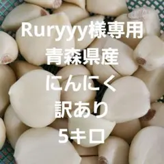 Ruryyy様専用ページです