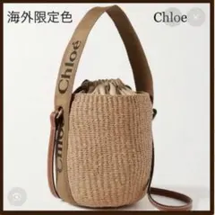 2026年最新】Chloe woody スモールバスケットの人気アイテム - メルカリ