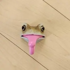 2025年最新】爬虫類 くじ マグネットの人気アイテム - メルカリ