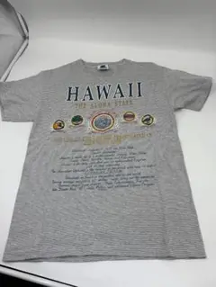 KINGSTREE CLASSIC ハワイ Tシャツ M