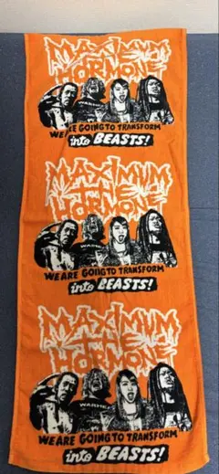 2026年最新】マキシマムザホルモンタオルの人気アイテム - メルカリ