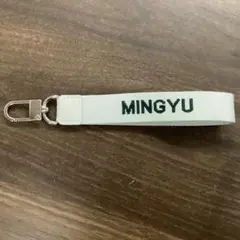 SEVENTEEN セブチ　MINGYU ミンギュ　マルチストラップ　ライヒア
