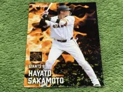 shiba様 リクエスト 3点 まとめ商品