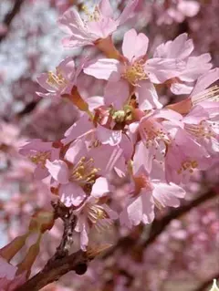 オリーブ様専用＊ソフトニットフリースVネックT グリーン　ユニクロ