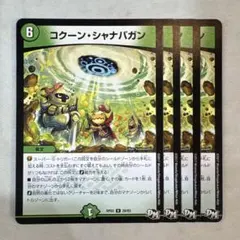 175504 コクーンシャナバガン