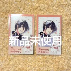 【新品未使用】夢追翔 チェキ風カード