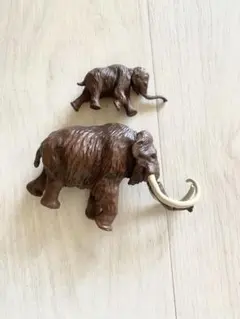 2025年最新】マンモスの牙の人気アイテム - メルカリ