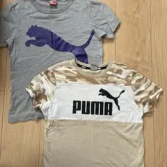 PUMA Tシャツ 2枚セット