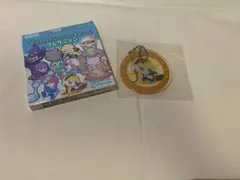 ポケモン シロナ＆カトレア 〜Sazanami Town〜 グッズ 3点セット ポケモンBW、シロナとカトレアのグッズ登場。フウロやカミツレ、シキミ