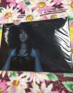 Item thumbnail for item f1d68090-7bab-4c18-be4d-0e0571686dcb