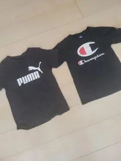 PUMA　Champion　Tシャツ　２枚セット