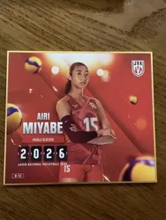 バレーボール女子日本代表2026 トレーディングmini色紙 岩澤実育