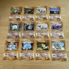 ポケモンカード 旧裏 ジムリーダー まとめ売り - メルカリ