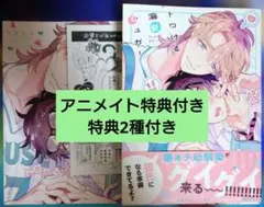 【値下げ交渉可】トロける溺愛シュガー