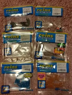 レインズ　ワームまとめ売り６点のサムネイル