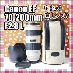 極美品 SONY FE70-200mm F4 G OSS 保護フィルタ付 箱あり - メルカリ