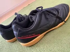 専用MIZUNO・MONARCIDA neo・サイズ23cm・フットサルシューズ