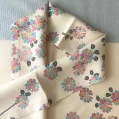 Item thumbnail for item d4d085f4-091b-409d-97c0-a6780eec04f2