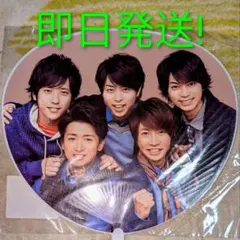 嵐 LIVE TOUR 2013 LOVE 集合 ミニうちわ 即日発送